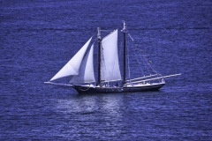 Sailboat