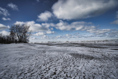 Winter Lake Erie