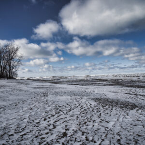 Lake Erie Beach Winter