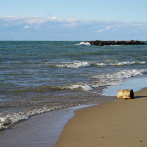 Lake Erie Waves