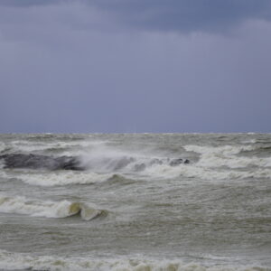 Winter Waves