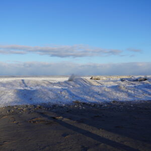 Lake Erie Dunes