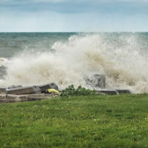 Manchester Beach Wave